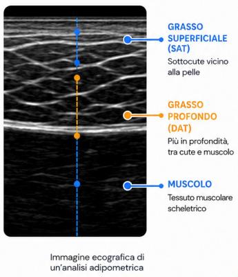 ecografia-adipometria